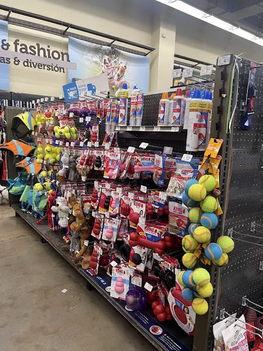 Petco Picture 5