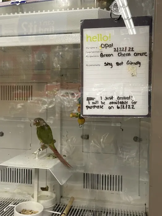 Petco Picture 8