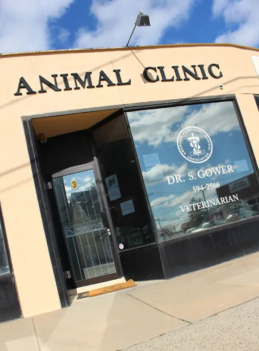 Woods Avenue Animal Clinic Picture 1