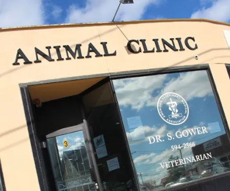 Woods Avenue Animal Clinic