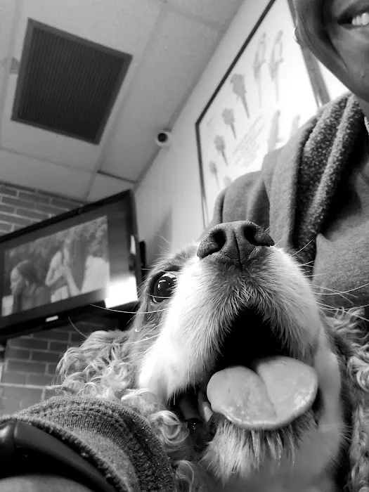 Oceanside Veterinary Hospital Picture 1