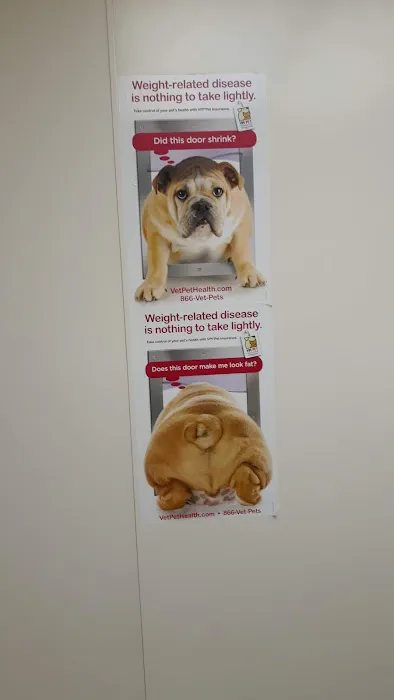 Oceanside Veterinary Hospital Picture 7