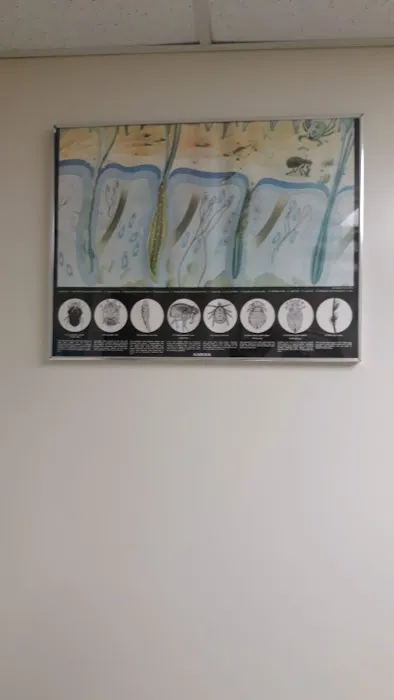 Oceanside Veterinary Hospital Picture 10