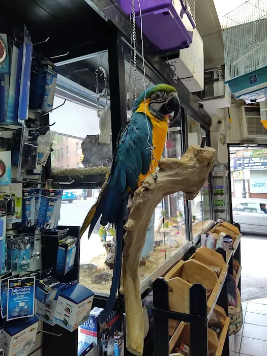 Tropical Pets Picture 3