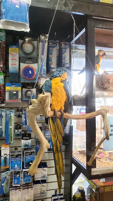 Tropical Pets Picture 5