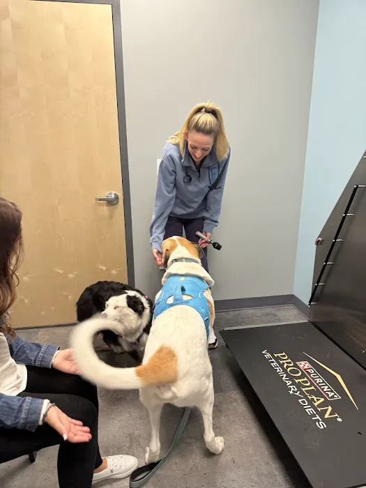 Premier Veterinary Medical Group - Rockville Centre Picture 4