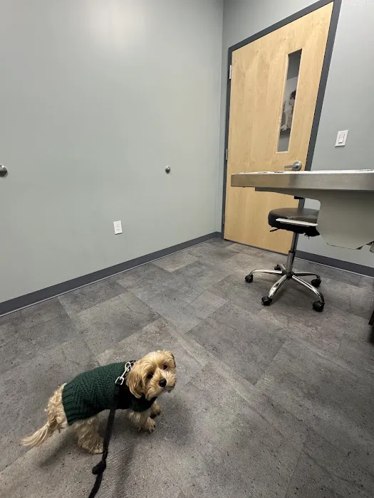 Premier Veterinary Medical Group - Rockville Centre Picture 7
