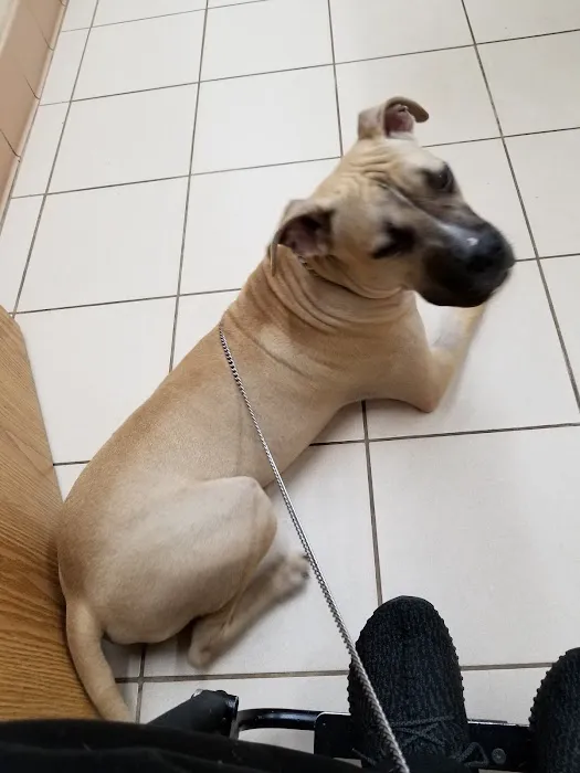 Terry Animal Hospital Picture 6
