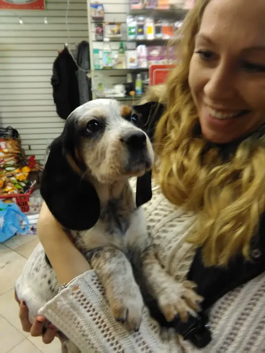 The Pet Market Picture 7