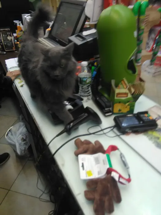 The Pet Market Picture 10
