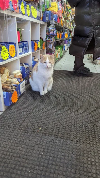 The Pet Market Picture 8