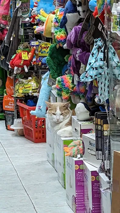 The Pet Market Picture 5