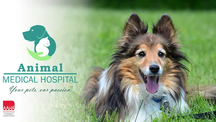 Animal Medical Hospital Picture 3