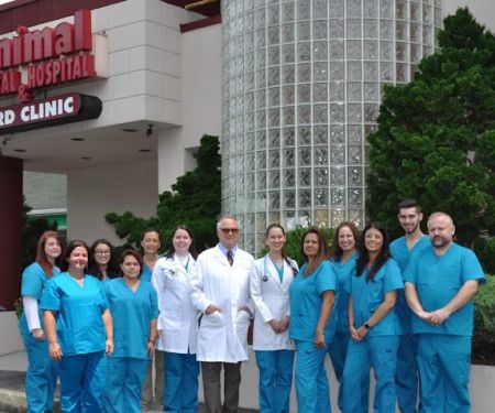 Animal Medical Hospital
