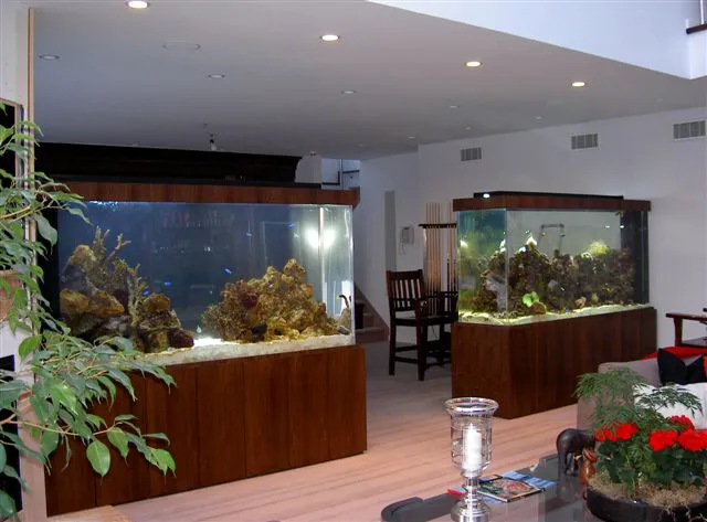 Aquarius Aquariums Picture 2