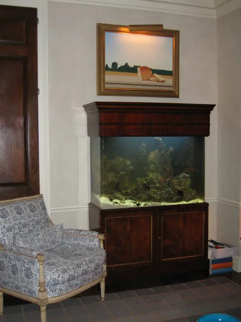 Aquarius Aquariums Picture 1