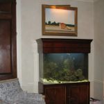 Aquarius Aquariums