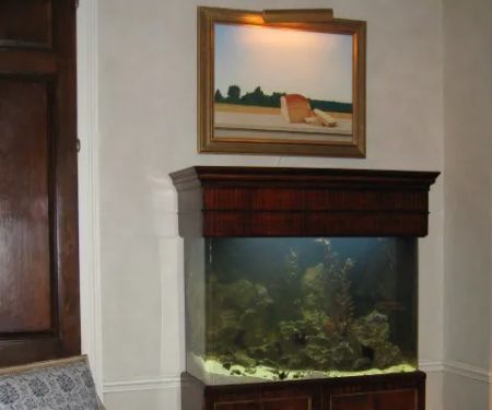 Aquarius Aquariums