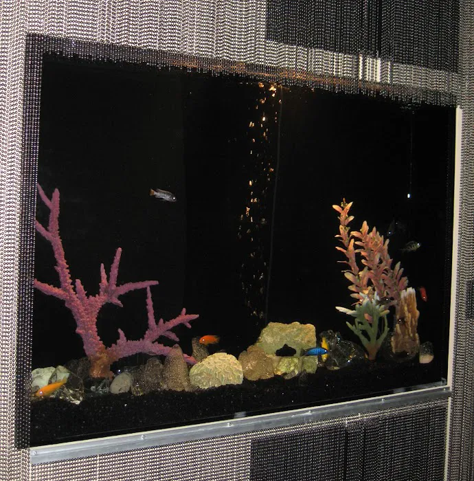 Aquarius Aquariums Picture 6