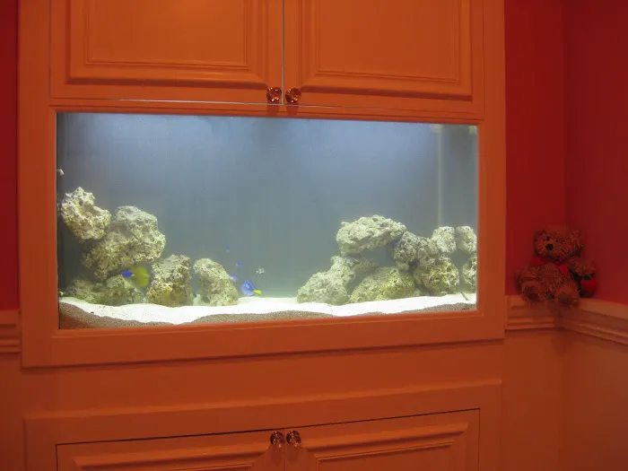 Aquarius Aquariums Picture 10
