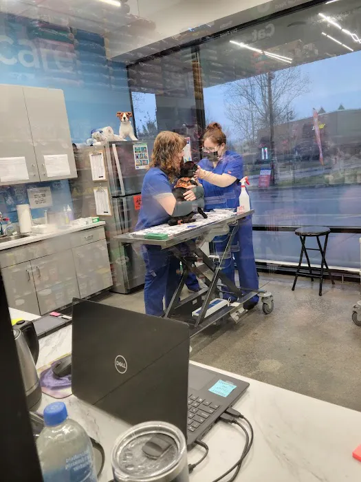 VIP Petcare Vaccination Clinic Picture 4
