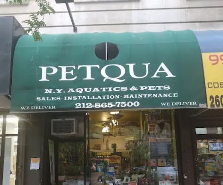 Petqua