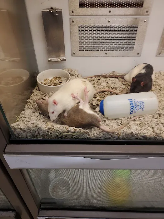 Petco Picture 4