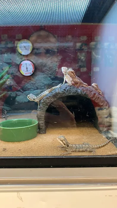 Petco Picture 5