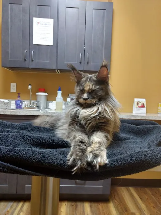 Islandia Animal Hospital Picture 3