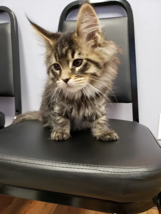 Islandia Animal Hospital Picture 6