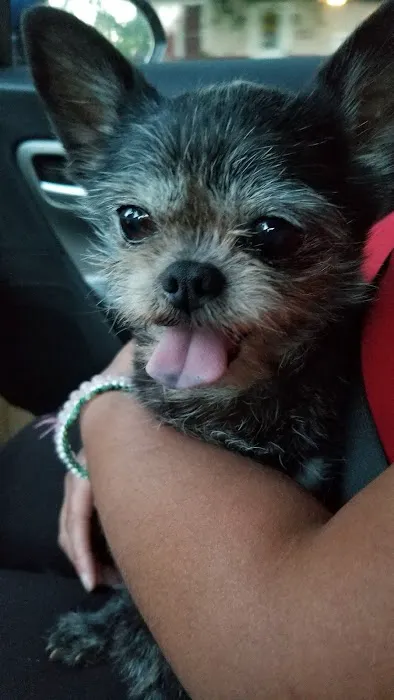 Islandia Animal Hospital Picture 9