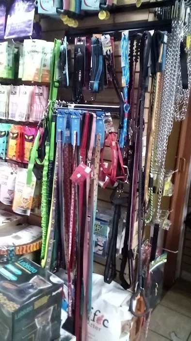 Weehawken Pet Shop Picture 2