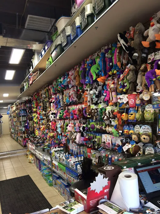Weehawken Pet Shop Picture 5