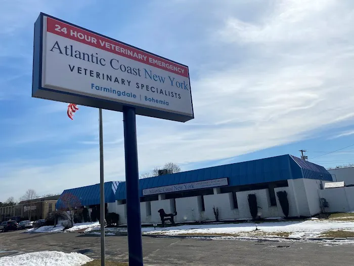 Atlantic Coast New York Veterinary Specialists Picture 7