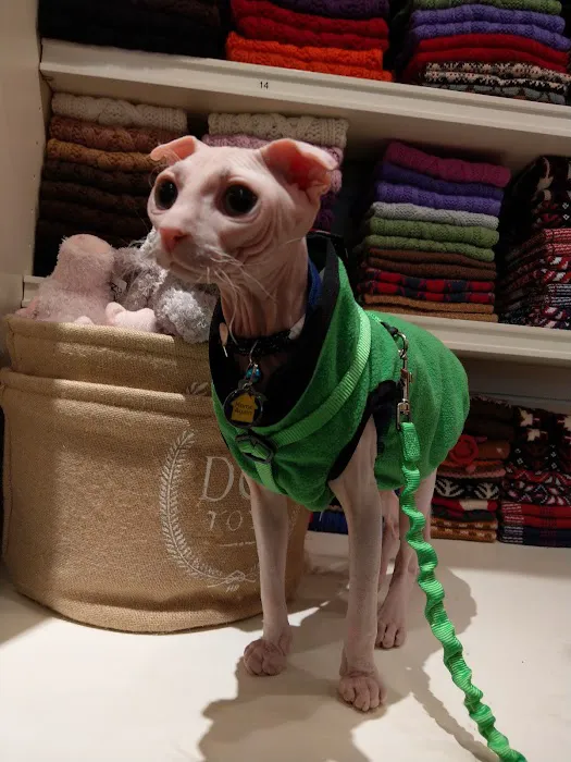 Canine Styles West Picture 4