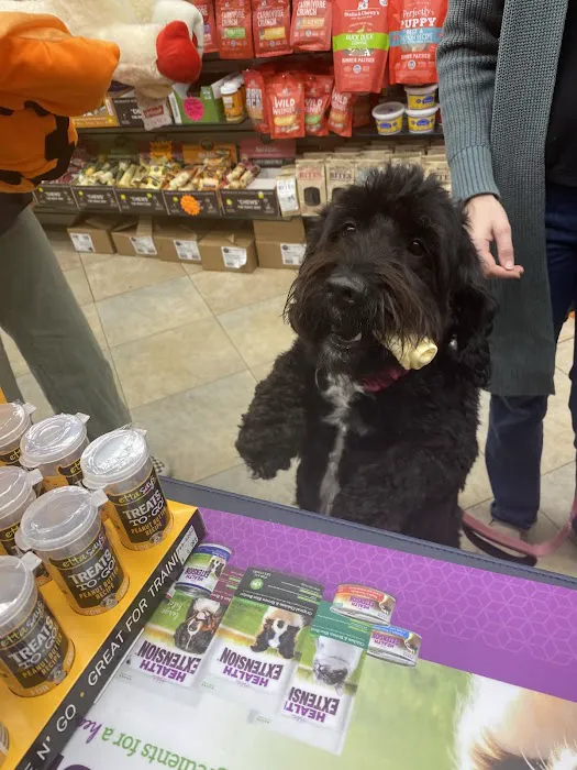 The Pet Market Picture 1