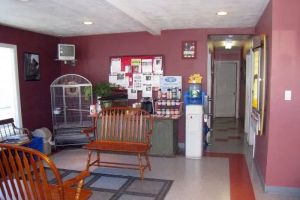 Auto Service Center