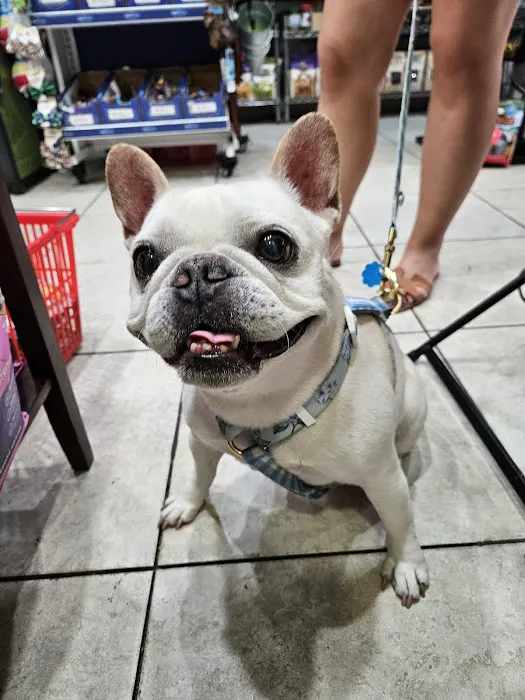 The Pet Market Picture 7