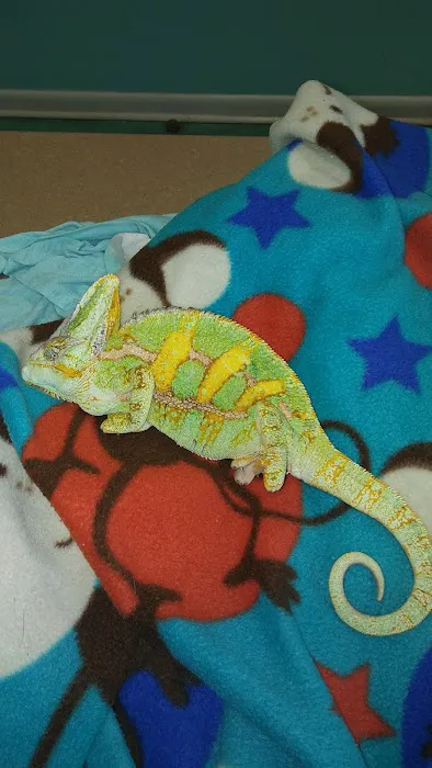 Island Exotic Veterinary Care Picture 7