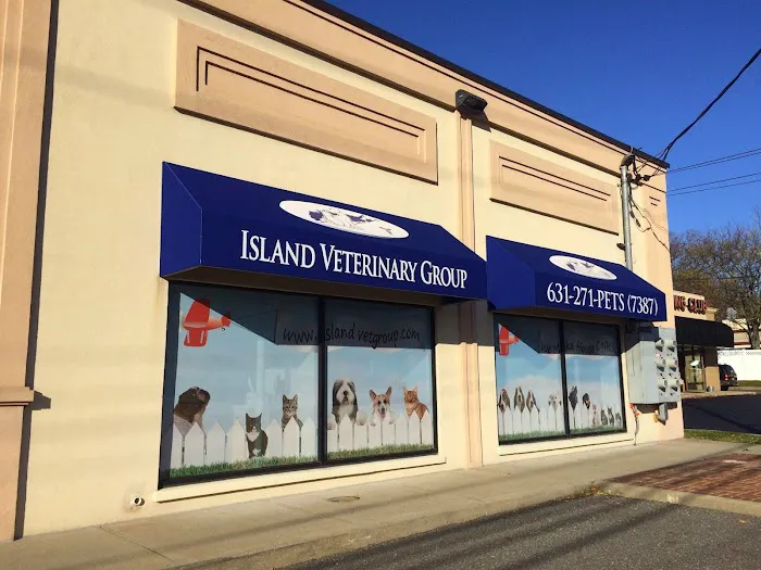 Island Veterinary Group Picture 3