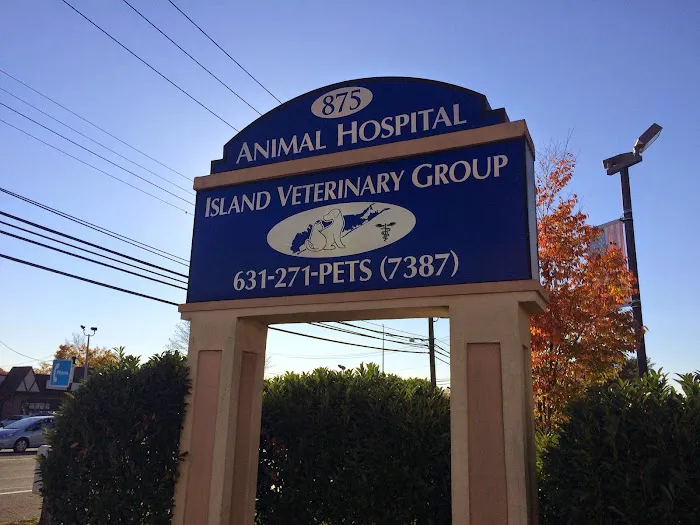 Island Veterinary Group Picture 7