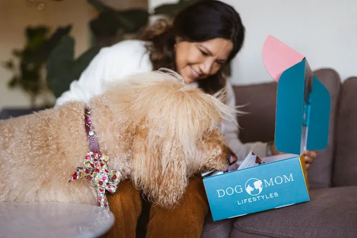dogmomlifestyles Picture 4