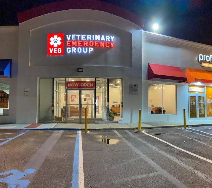 Veterinary Emergency Group Picture 3