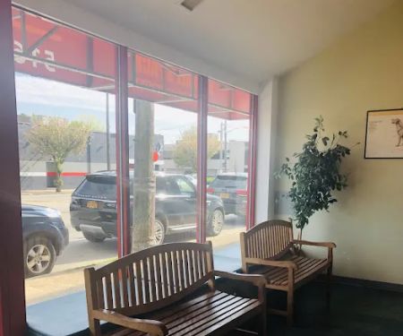Premier Veterinary Medical Group - Mineola