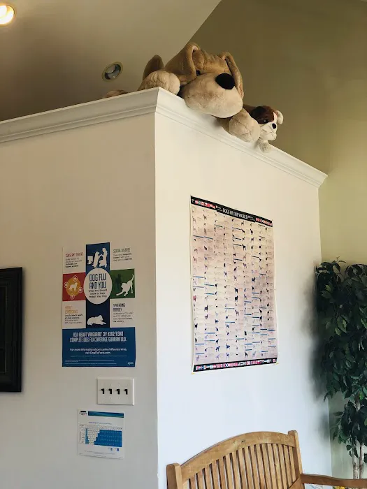 Premier Veterinary Medical Group - Mineola Picture 3