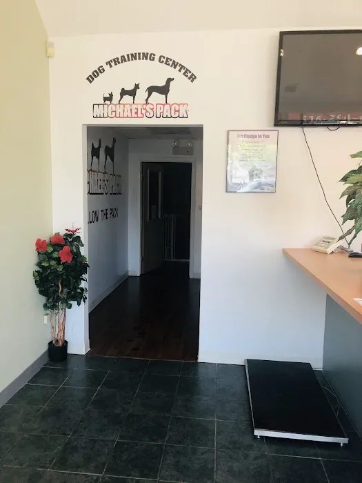 Premier Veterinary Medical Group - Mineola Picture 2