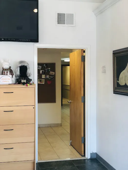 Premier Veterinary Medical Group - Mineola Picture 4