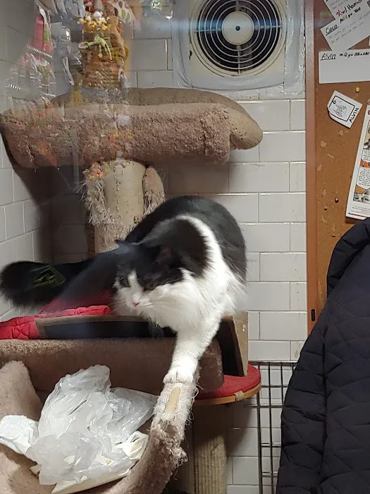 Spoiled Brats Pet Shop Picture 4