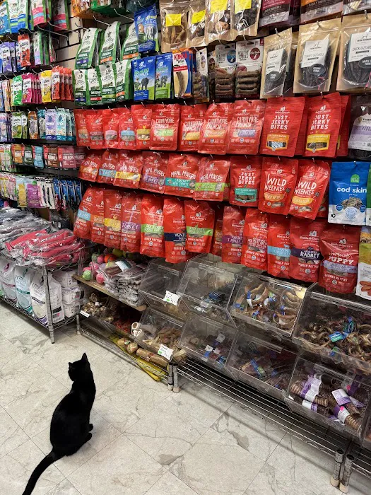 Spoiled Brats Pet Shop Picture 6