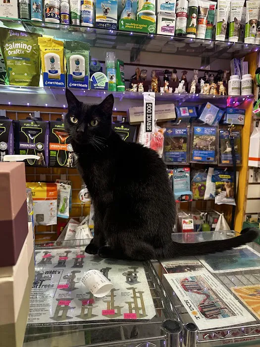Spoiled Brats Pet Shop Picture 9